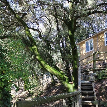Le Domaine Du Naizadou Chalet Lou Grilh Villa La Barriére Екстериор снимка